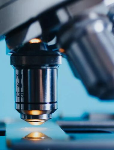 开云(中国)kaiyun网页版登录入口