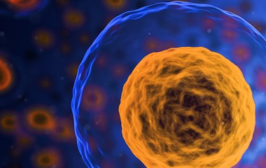 开云(中国)kaiyun网页版登录入口