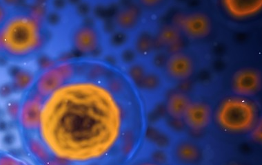 开云(中国)kaiyun网页版登录入口