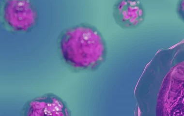 开云(中国)kaiyun网页版登录入口